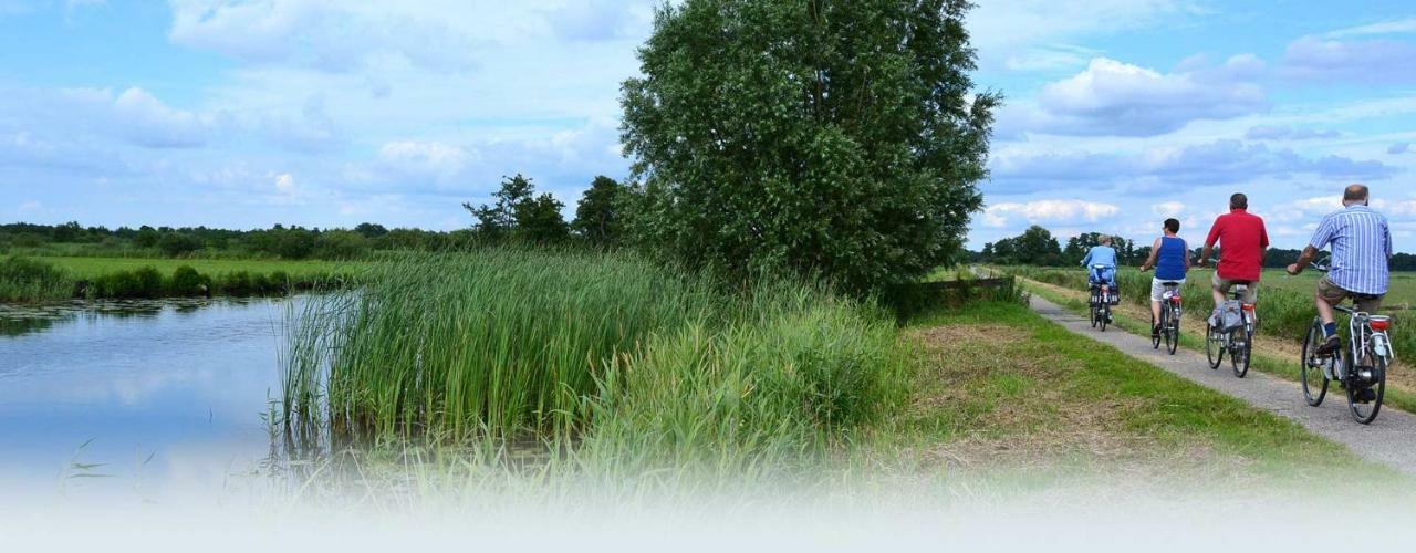 Vila Marretoer Uitwellingerga Exteriér fotografie